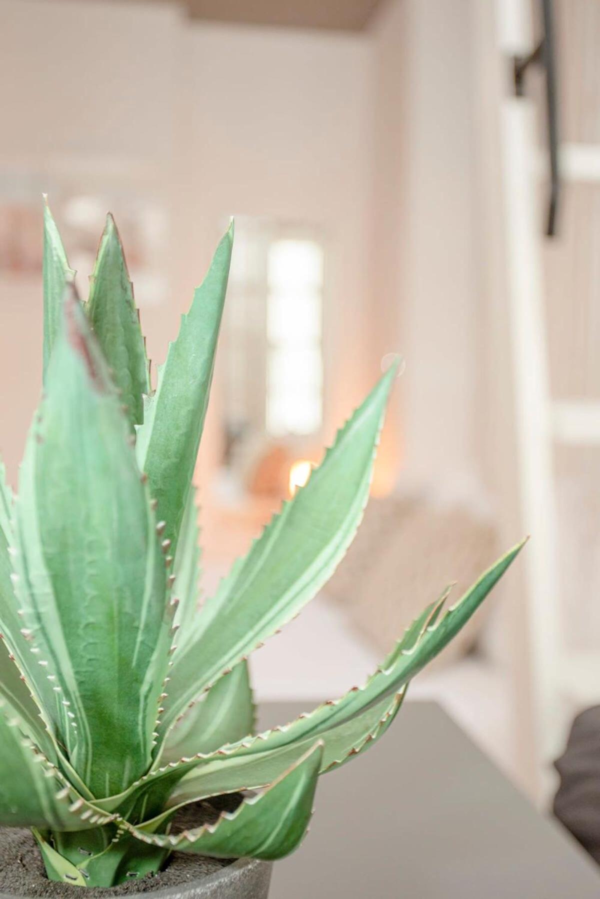 Liiiving In Porto - Heart Of Porto Mezzanine Apartment Екстериор снимка